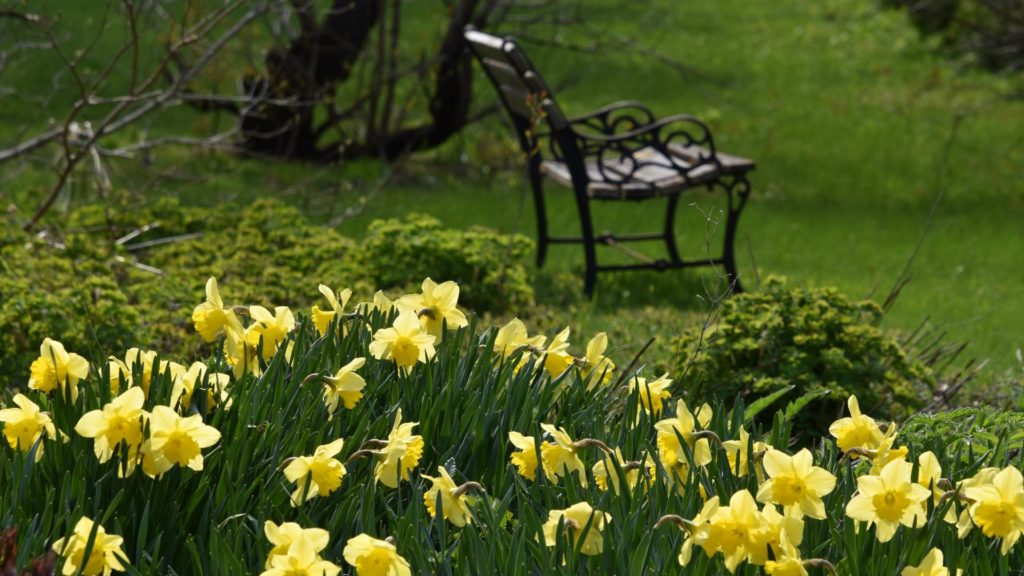 Comment entretenir et restaurer son banc de jardin ?
